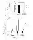 Fig. 04 - Uses of NANOG inhibitors and related methods
