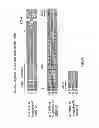 Fig. 11 - Compositions and methods for diagnosing and treating cancer