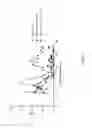Fig. 08 - ANTI-CXCL13 ANTIBODIES AND METHODS OF USING THE SAME