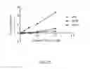 Fig. 23 - ANTI-CXCL13 ANTIBODIES AND METHODS OF USING THE SAME