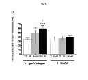 Fig. 04 - Compositions and methods of preventing or ameliorating abnormal thrombus formation and cardiovascular disease