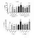 Fig. 12 - Compositions and methods of preventing or ameliorating abnormal thrombus formation and cardiovascular disease