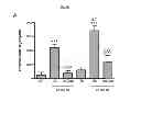 Fig. 18 - Compositions and methods of preventing or ameliorating abnormal thrombus formation and cardiovascular disease