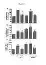 Fig. 30 - Compositions and methods of preventing or ameliorating abnormal thrombus formation and cardiovascular disease