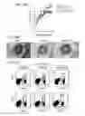 Fig. 04 - Compositions and methods for treating inflammatory conditions of the ocular surface