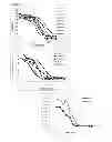 Fig. 07 - Antibodies to CD70