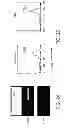 Fig. 03 - Compositions comprising soluble CD84 or anti-CD84 antibodies and methods for diagnosing and treating B-CLL
