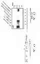 Fig. 12 - Compositions comprising soluble CD84 or anti-CD84 antibodies and methods for diagnosing and treating B-CLL