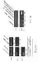 Fig. 17 - Compositions comprising soluble CD84 or anti-CD84 antibodies and methods for diagnosing and treating B-CLL