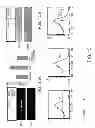 Fig. 18 - Compositions comprising soluble CD84 or anti-CD84 antibodies and methods for diagnosing and treating B-CLL