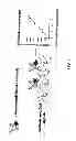 Fig. 06 - METHOD FOR REMOVAL OF TOXINS FROM MUCOSAL MEMBRANES