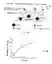 Fig. 09 - METHOD FOR REMOVAL OF TOXINS FROM MUCOSAL MEMBRANES