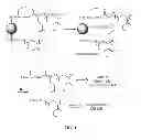 Fig. 02 - Antigen surrogates in autoimmune disease
