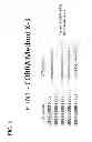 Fig. 04 - Computationally optimized broadly reactive antigens for H1N1 influenza
