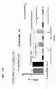 Fig. 12 - Computationally optimized broadly reactive antigens for H1N1 influenza
