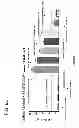 Fig. 13 - Computationally optimized broadly reactive antigens for H1N1 influenza