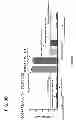 Fig. 14 - Computationally optimized broadly reactive antigens for H1N1 influenza