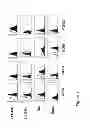 Fig. 02 - Compositions and methods for treatment of hematological malignancies