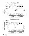 Fig. 03 - Vaccine against RSV