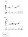 Fig. 11 - Vaccine against RSV