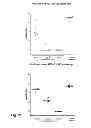 Fig. 24 - Vaccine against RSV