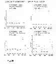 Fig. 28 - Vaccine against RSV