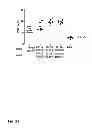 Fig. 32 - Vaccine against RSV