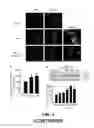 Fig. 03 - METHOD AND COMPOSITION FOR INDUCING AUTOPHAGY