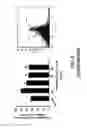 Fig. 13 - METHOD AND COMPOSITION FOR INDUCING AUTOPHAGY