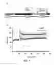 Fig. 18 - METHOD AND COMPOSITION FOR INDUCING AUTOPHAGY