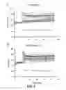 Fig. 19 - METHOD AND COMPOSITION FOR INDUCING AUTOPHAGY