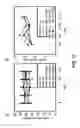 Fig. 23 - METHOD AND COMPOSITION FOR INDUCING AUTOPHAGY