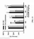 Fig. 25 - METHOD AND COMPOSITION FOR INDUCING AUTOPHAGY