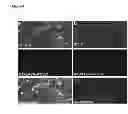 Fig. 05 - Artificial tissue constructs comprising alveolar cells and methods for using the same