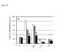 Fig. 09 - Artificial tissue constructs comprising alveolar cells and methods for using the same