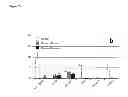 Fig. 10 - Artificial tissue constructs comprising alveolar cells and methods for using the same