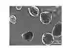Fig. 01 - Conformal coating of cells for immunoisolation