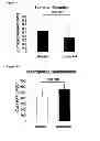 Fig. 02 - Cell-free tissue engineered vascular grafts