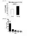 Fig. 03 - Cell-free tissue engineered vascular grafts