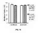 Fig. 17 - Delivery substrates from aligned polymer biomaterials for tissue repair