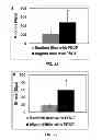 Fig. 22 - Delivery substrates from aligned polymer biomaterials for tissue repair