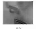 Fig. 25 - Delivery substrates from aligned polymer biomaterials for tissue repair