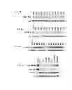 Fig. 04 - MicroRNA-Based Methods and Compositions For the Diagnosis, Prognosis and Treatment of Breast Cancer