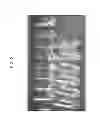 Fig. 06 - Microorganism comprising particles and uses of same