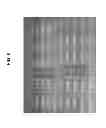 Fig. 07 - Microorganism comprising particles and uses of same