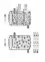 Fig. 20 - Microorganism comprising particles and uses of same