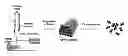Fig. 01 - MULTIPHASIC POLYMERIC PARTICLES CAPABLE OF SHAPE-SHIFTING VIA ENVIRONMENTAL STIMULATION