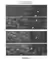 Fig. 04 - MULTIPHASIC POLYMERIC PARTICLES CAPABLE OF SHAPE-SHIFTING VIA ENVIRONMENTAL STIMULATION