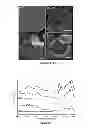 Fig. 24 - MULTIPHASIC POLYMERIC PARTICLES CAPABLE OF SHAPE-SHIFTING VIA ENVIRONMENTAL STIMULATION