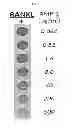 Fig. 05 - Methods of processing fetal support tissues, fetal support tissue powder products, and uses thereof